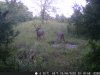DSCF0260.JPG