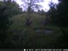 DSCF0283.JPG