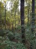20201006_172915.jpg