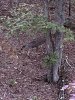 IMG_1412.jpg