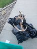 20201006_165612.jpg