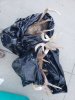 20201006_165601.jpg
