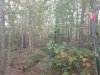 20201007_174133.jpg