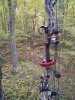 IMG_20201008_075141524.jpg