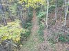 20201009_153344.jpg