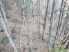 20201009_153403.jpg