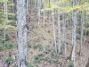 20201009_153350.jpg