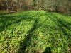 20201005_114530.jpg