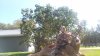 VideoCapture_20201005-131900.jpg