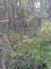 20201010_154304.jpg