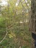 20201010_154240.jpg