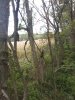 20201010_154219.jpg