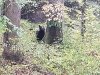20201010_173605.jpg