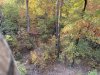 IMG_1440.jpg
