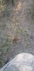 20201012_182750.jpg