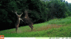 3C085E62-D1EA-4A0E-A567-4B8C156768AF.gif