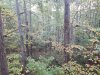 20201014_073346.jpg