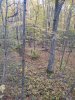 IMG_20201014_075545358.jpg