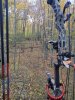IMG_20201014_075534671.jpg
