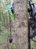20201014_081953.jpeg