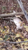 C0E5E7EA-D7B5-42BC-92EB-D6C4BDA8165F.png