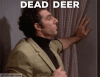 A1A02F12-5FC5-46C3-A19D-6D83DBC3FE7C.gif
