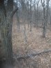 20201015_161019.jpg