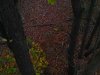 20201015_190054.jpg