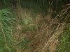 20201015_194352.jpg