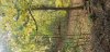 Image%20(3).jpeg