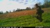 40BD62C6-1ABF-40F5-B2BC-B6695EDAC09F.jpeg
