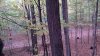 20201017_072359.jpg