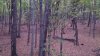 20201017_072304.jpg