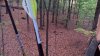 20201017_072253.jpg