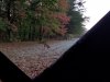 20201017_074449.jpg