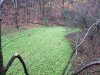 20201017_074623.jpg