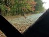 20201017_082140.jpg