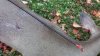 20201017_183527.jpg