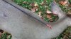 20201017_183519.jpg