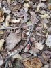 20201018_180124.jpeg