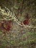 20201018_194239.jpeg