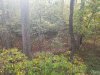 20201019_154720.jpg