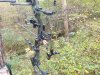20201019_154242.jpg