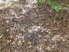 20201019_142128.jpg