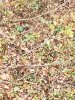 20201020_101706.jpg