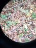 20201020_102027.jpg
