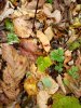 20201020_112023.jpg