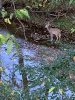 18B4E13D-3499-43E3-B8A6-304DA8B6E035.jpeg