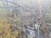 20201021_170523.jpg