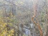 20201021_162532.jpg